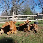 Eco Urbion * ドゥルエロ・デ・ラ・シエラ