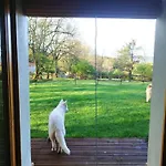 Eco Urbion Farm stay