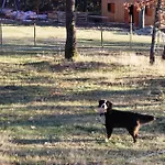 Farm stay Eco Urbion Duruelo de la Sierra