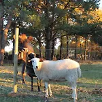 Farm stay Eco Urbion *