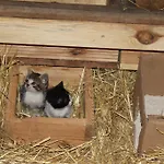 Farm stay Eco Urbion