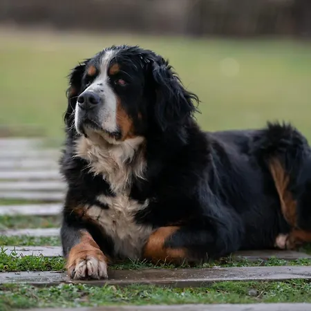 Eco Urbion 두루엘로 데 라 시에라