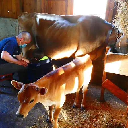 Eco Urbion Farmház *