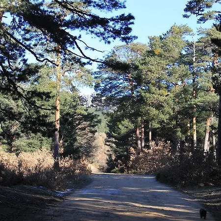 Farm stay Eco Urbion Duruelo de la Sierra