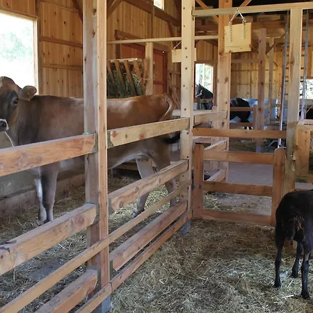 Séjour à la ferme Eco Urbion *