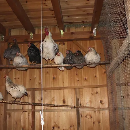 Eco Urbion Duruelo de la Sierra