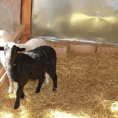 Eco Urbion Duruelo de la Sierra