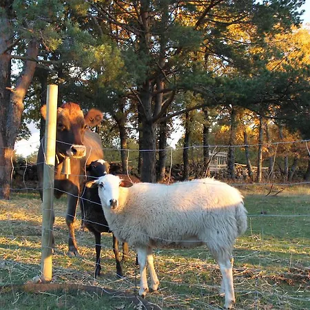 Farmház Eco Urbion *