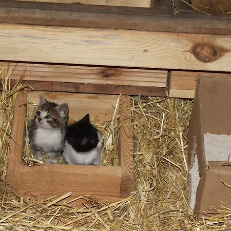 Farm stay Eco Urbion