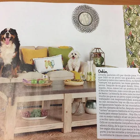 Eco Urbion 팜스테이 *