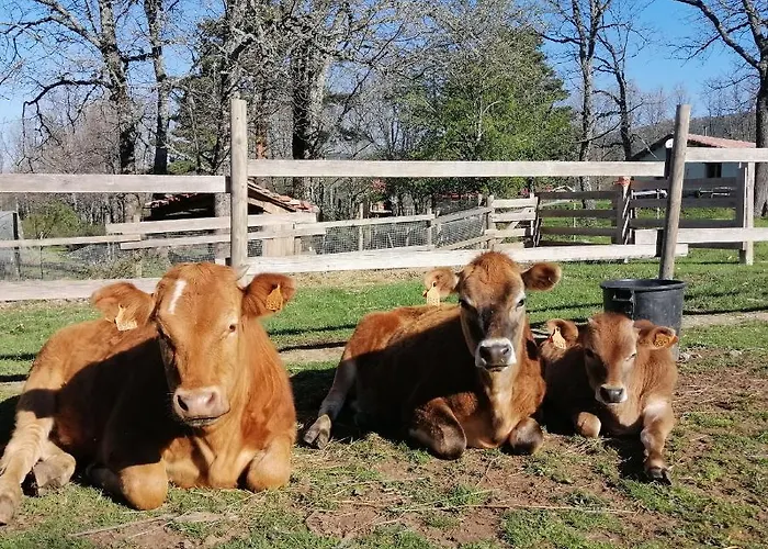 Eco Urbion * Duruelo de la Sierra
