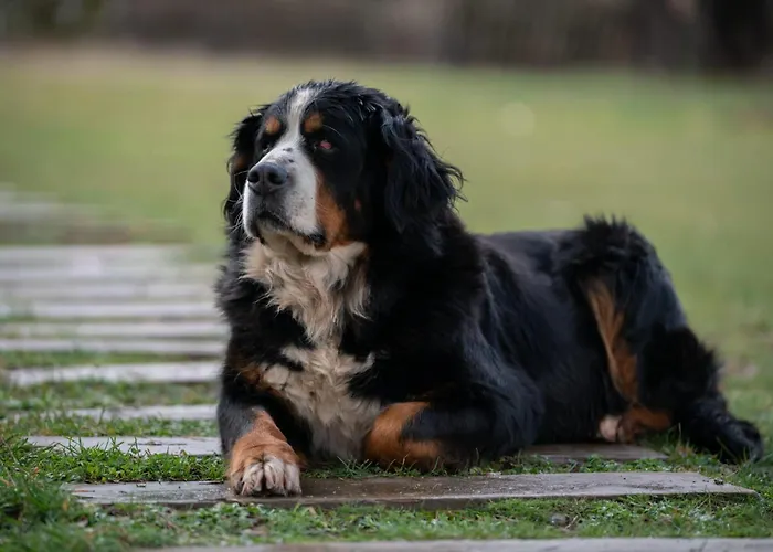 Eco Urbion Duruelo de la Sierra