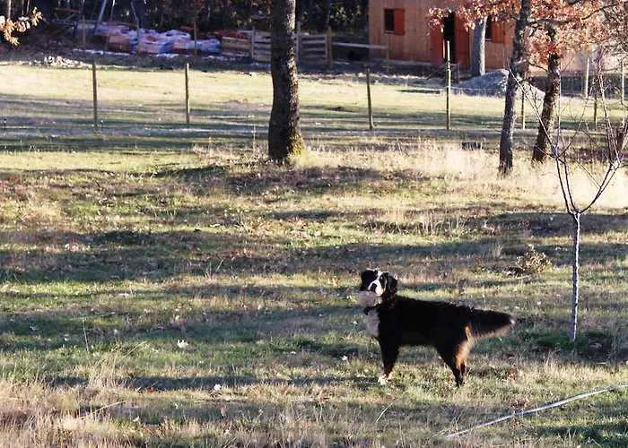 Κατάλυμα σε φάρμα Eco Urbion Duruelo de la Sierra