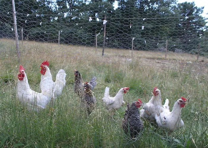 Eco Urbion Duruelo de la Sierra