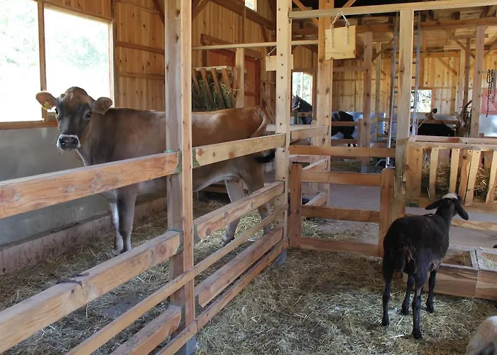 Κατάλυμα σε φάρμα Eco Urbion *