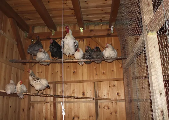 Eco Urbion Duruelo de la Sierra