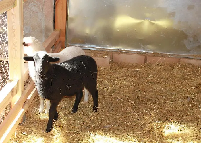 Eco Urbion Duruelo de la Sierra