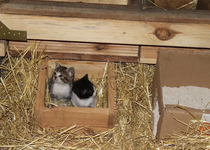 Κατάλυμα σε φάρμα Eco Urbion