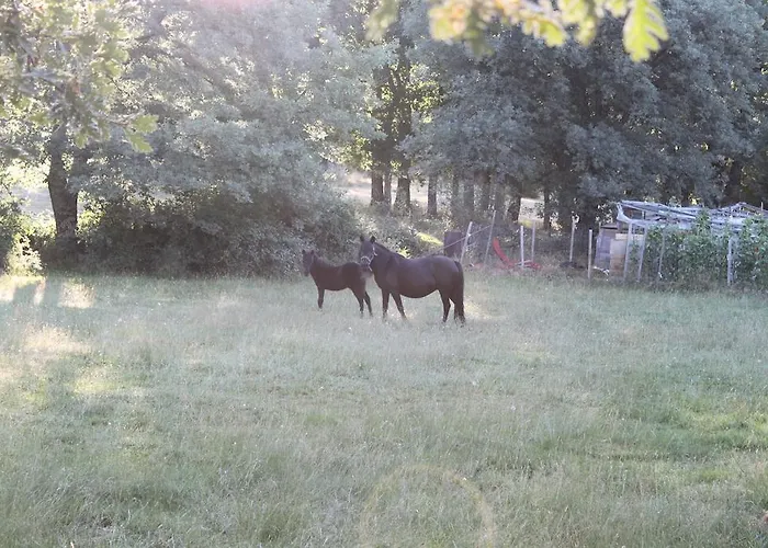 Eco Urbion Duruelo de la Sierra