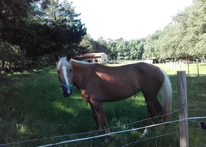 Κατάλυμα σε φάρμα Eco Urbion