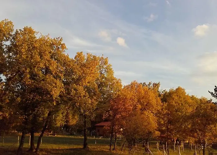 Κατάλυμα σε φάρμα Eco Urbion Duruelo de la Sierra